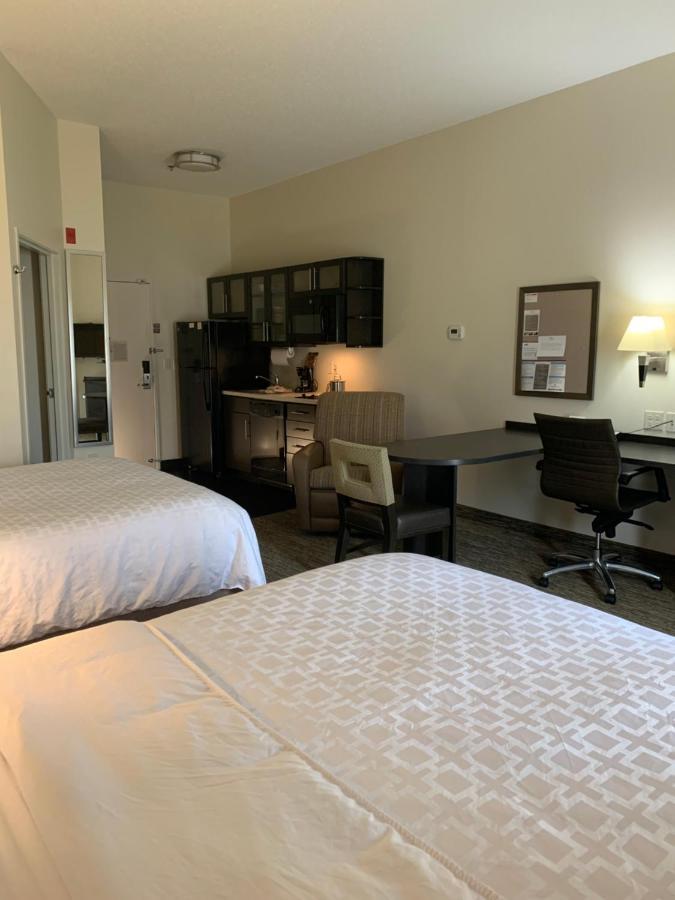 Queen Room One Queen Bed One Sofa Bed Mobility Accessible Roll Shower