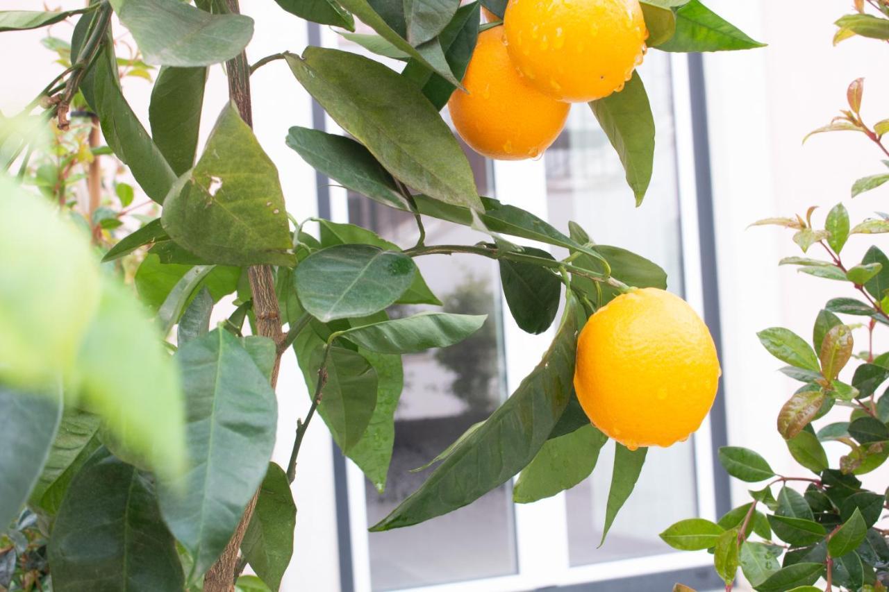 Apartment Garden View
