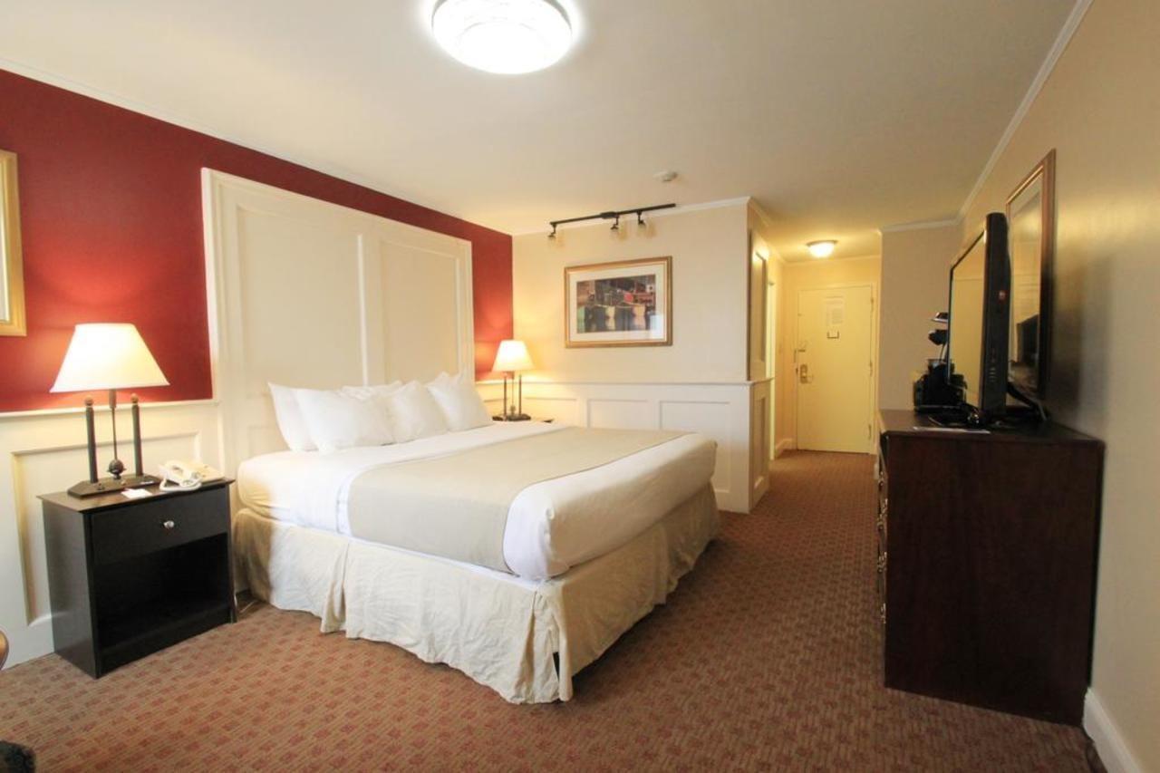Superior King Room,1604082924:JPEG