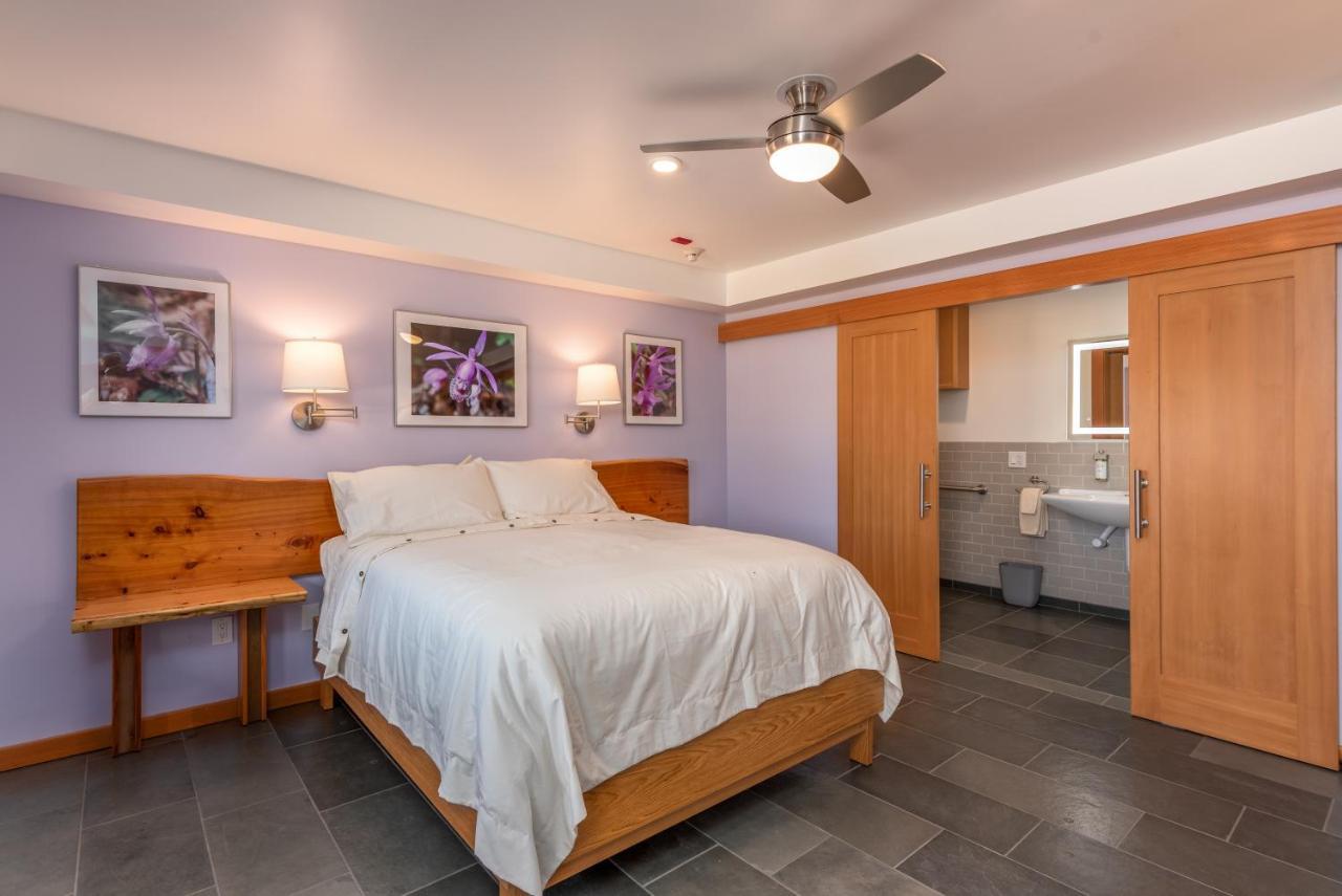 Disability Access Queen Room
