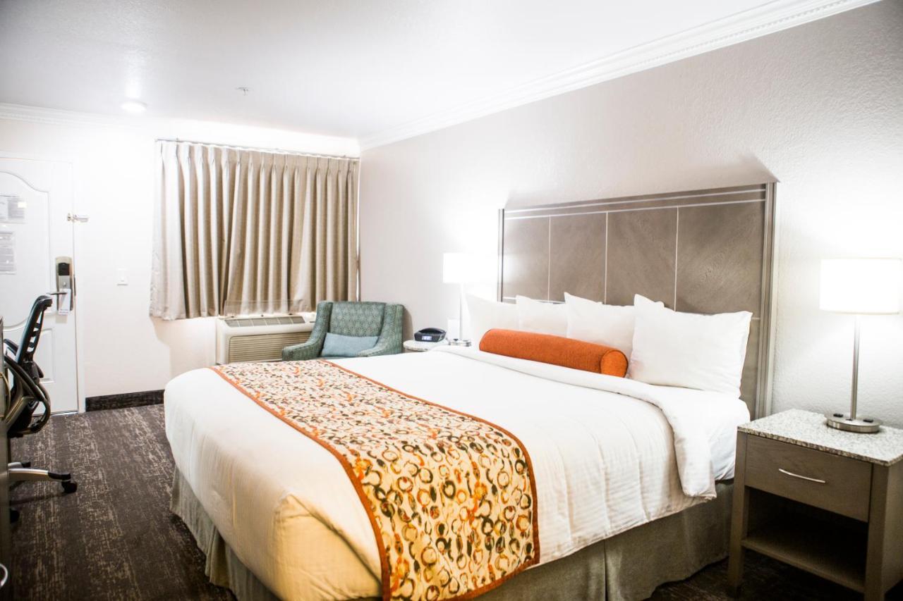 1 King Bed Non Smoking