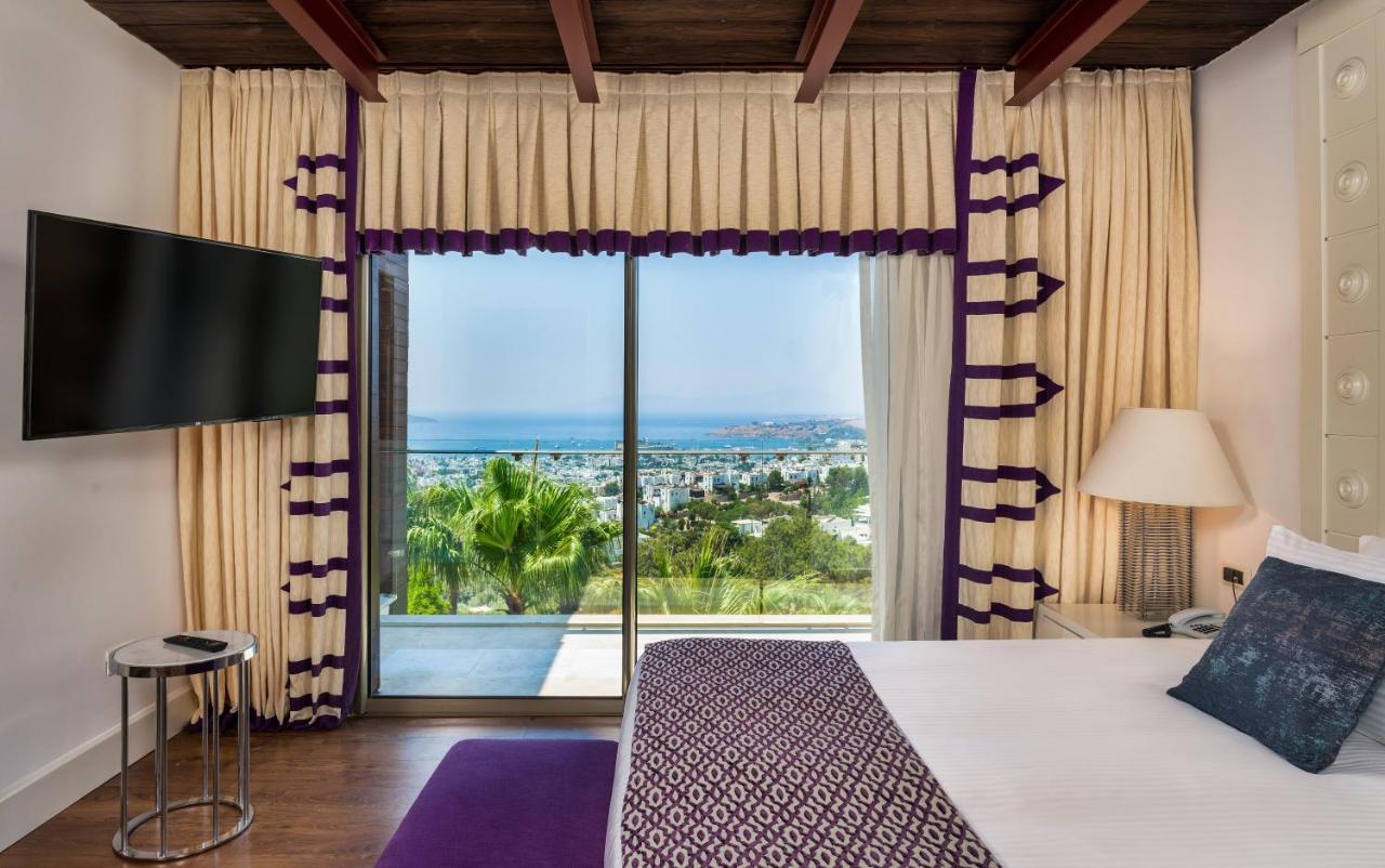 Panaroma Suite