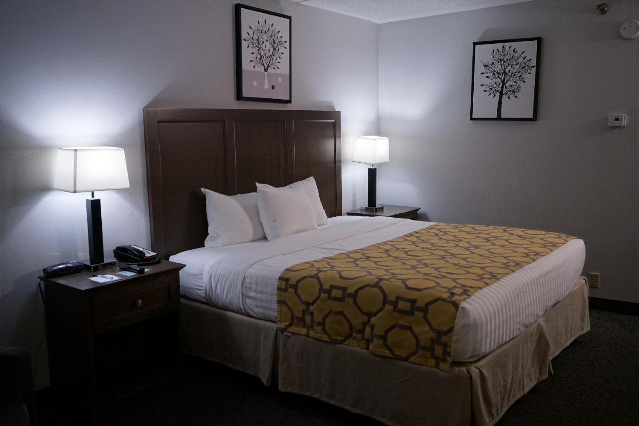 King Room - Non-Smoking,1020132829:JPEG