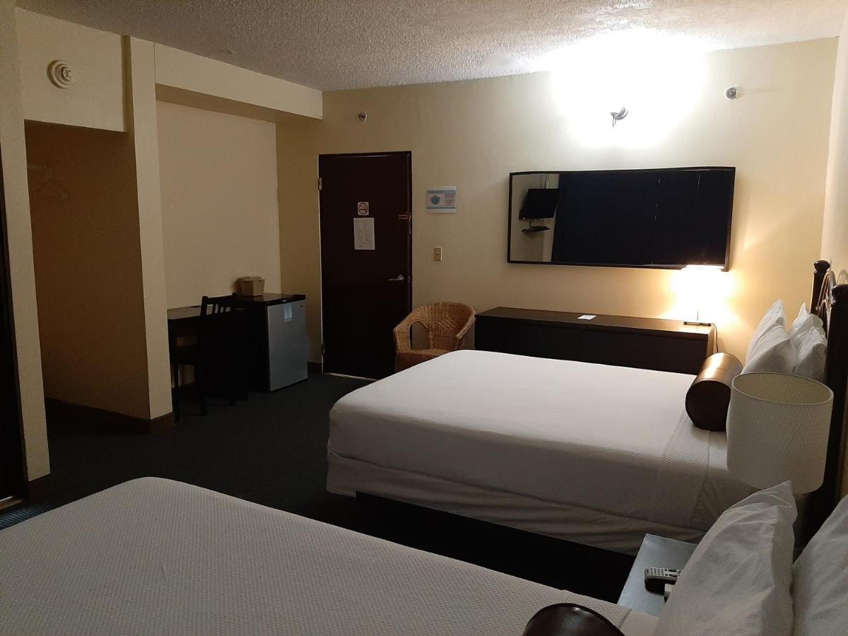 Standard Double Room Two Double Beds