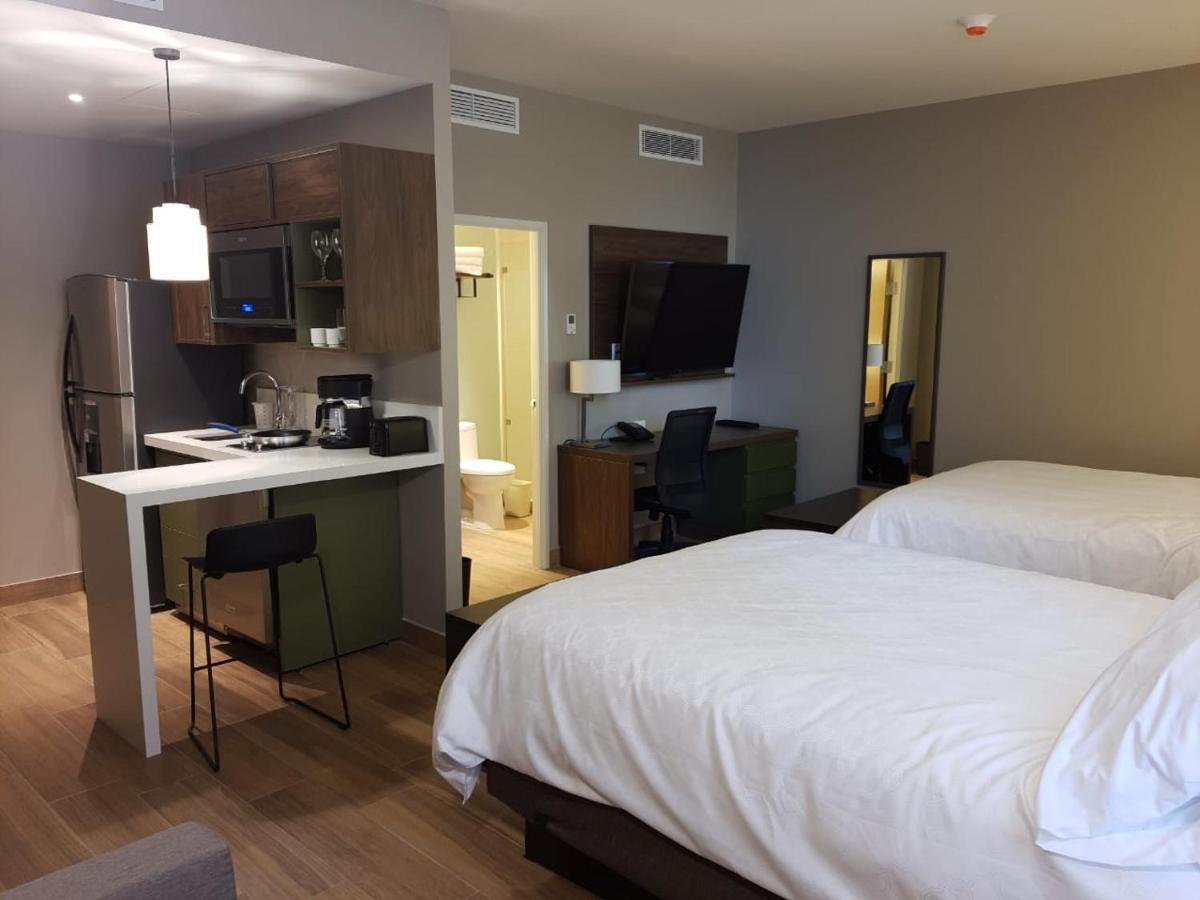 Studio Suite Two Queen Beds