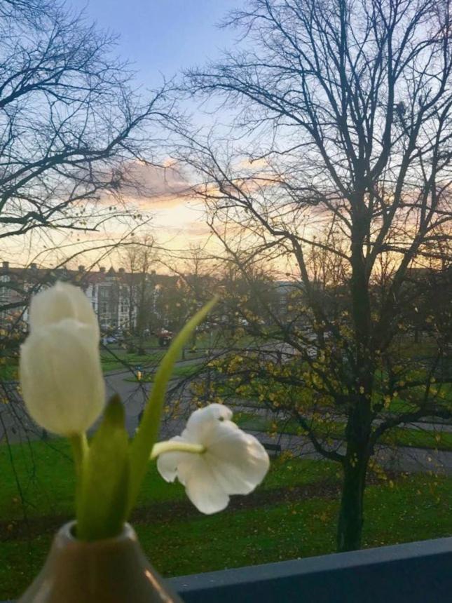 Single Room Park View
