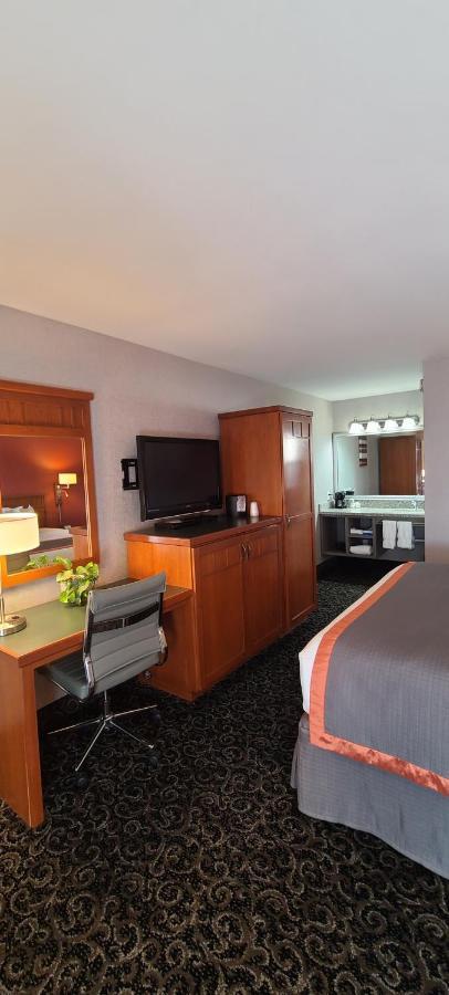 King Room,1038256360:JPEG