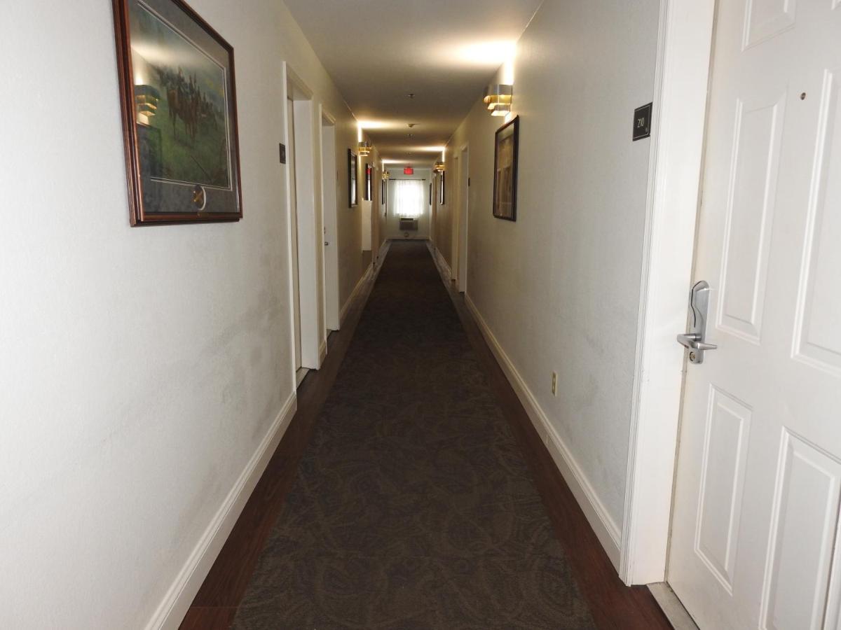 Queen Room Disability Access Pet Friendly