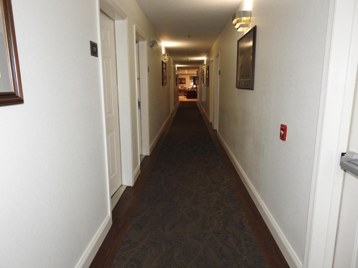 Queen Room Disability Access Pet Friendly