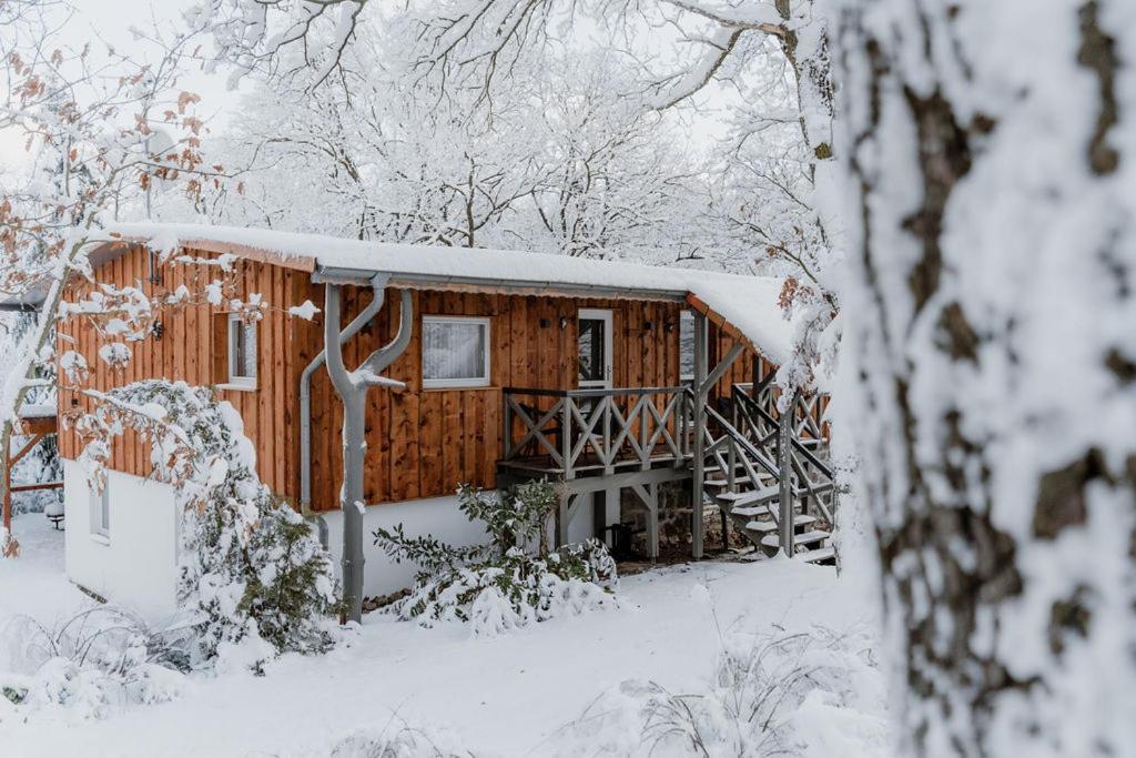 Double Room Harzerhaus