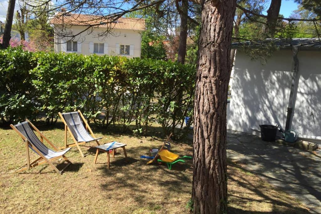 Apartment Garden View