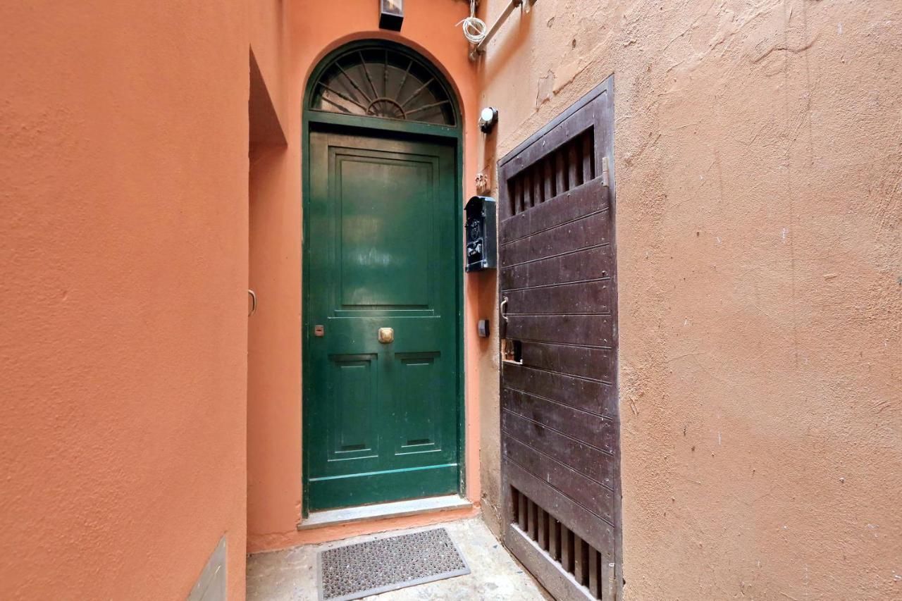 Apartment Terrace