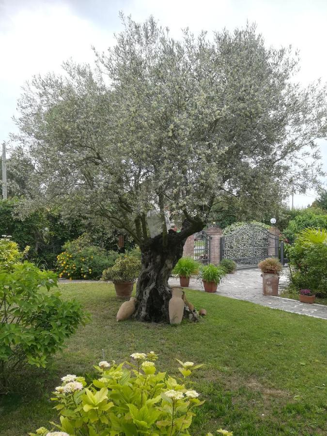 Double Room Garden View