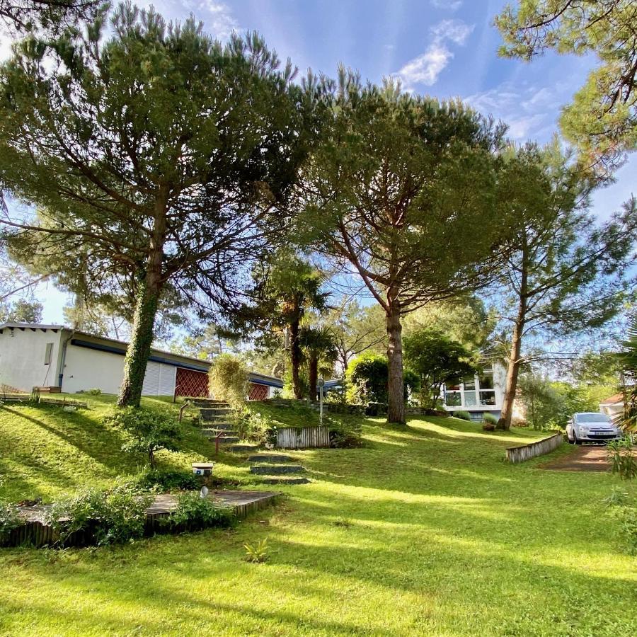 Apartment Garden View