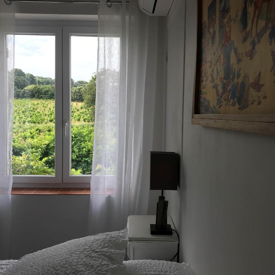 Double Room Garden View