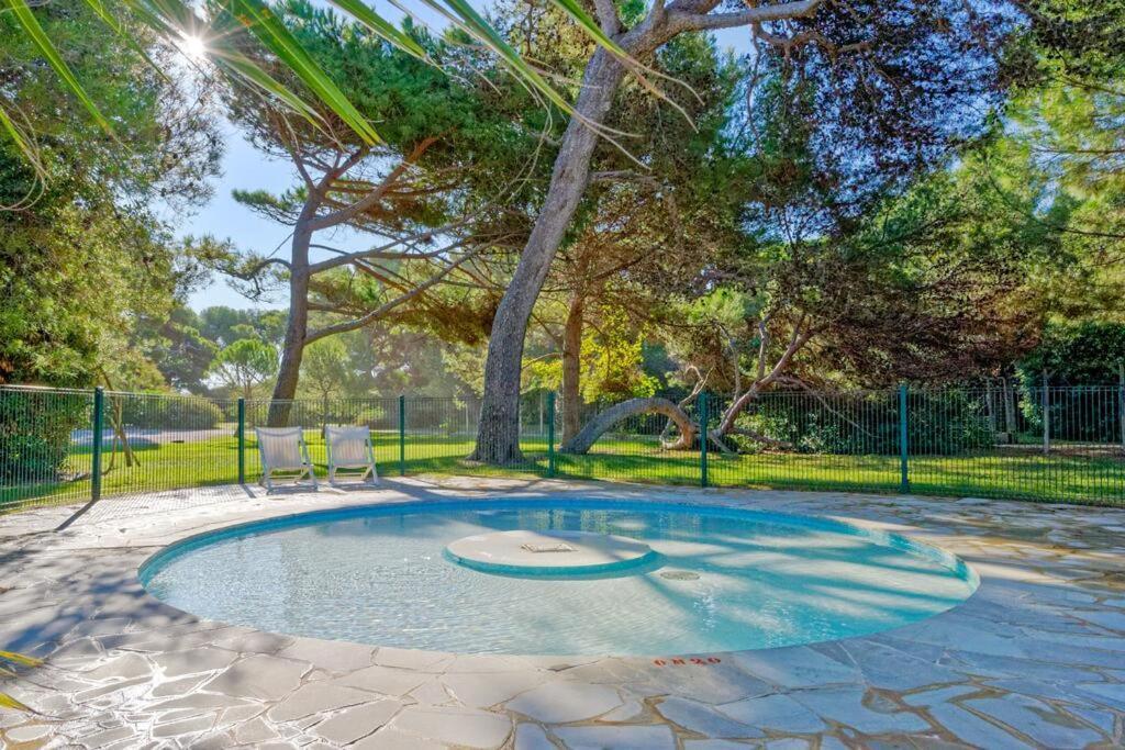 Apartment Pool View