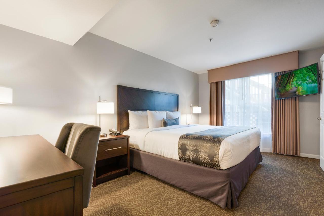 One Bedroom Suite - Kitchenette