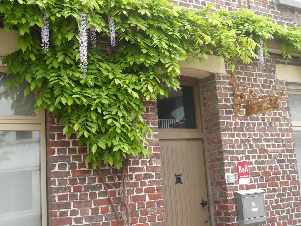 Studio Garden,977150344:JPEG