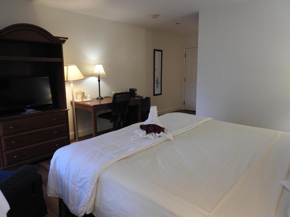 King Room Pet Friendly