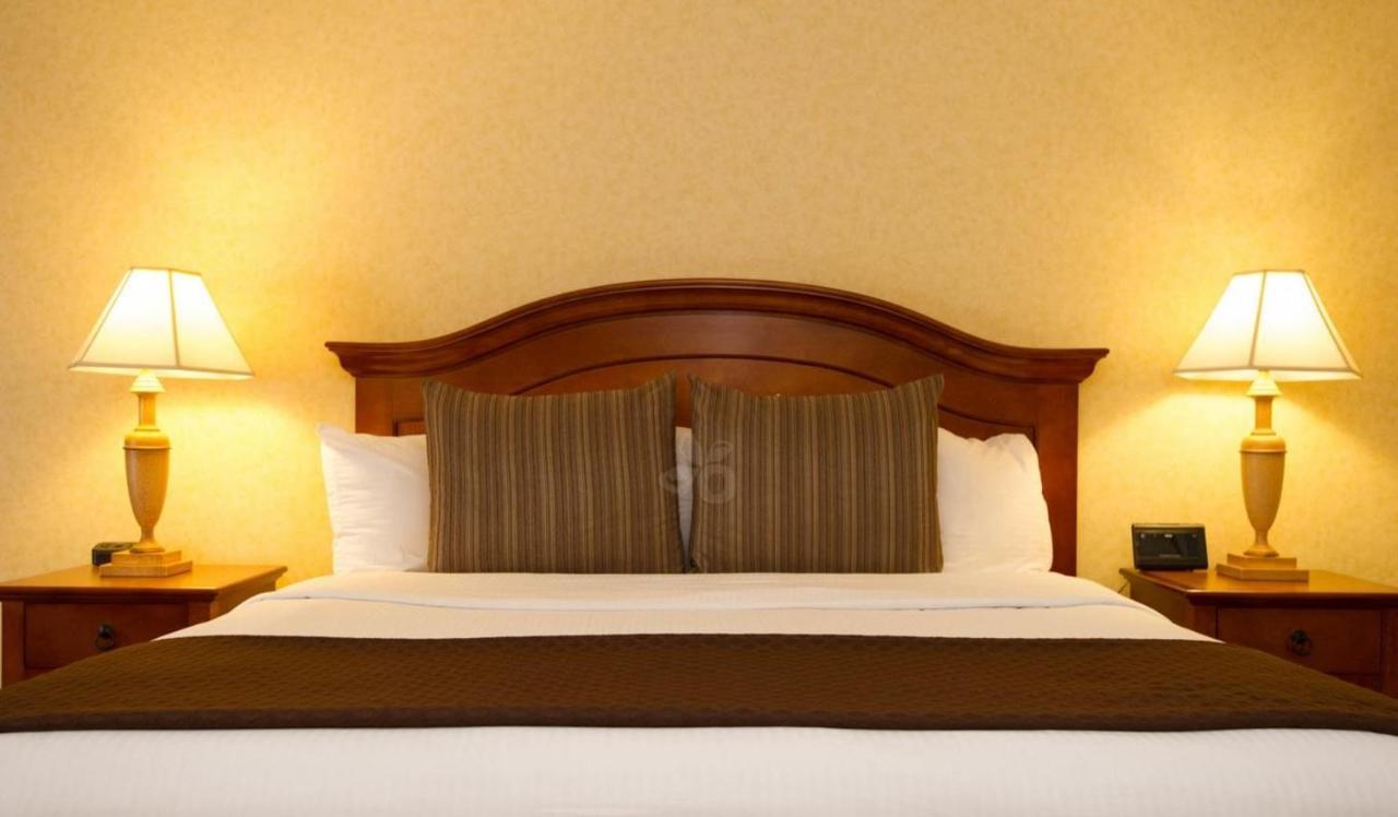 Premium King Room