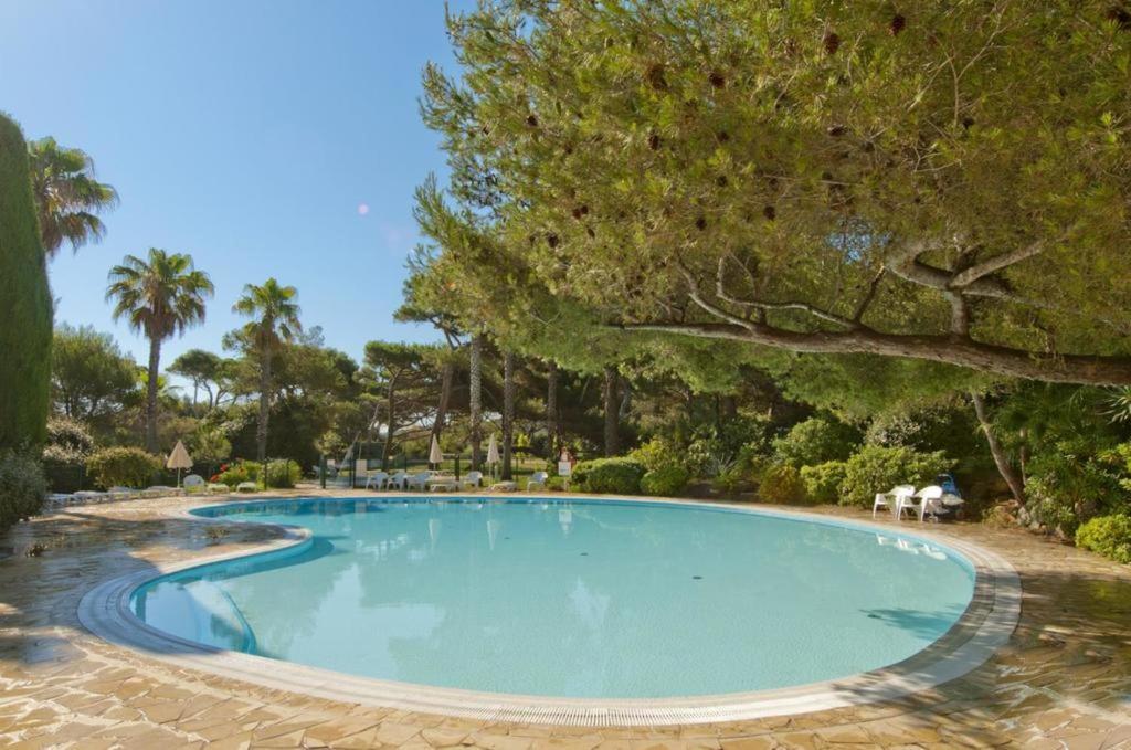 Apartment Pool View