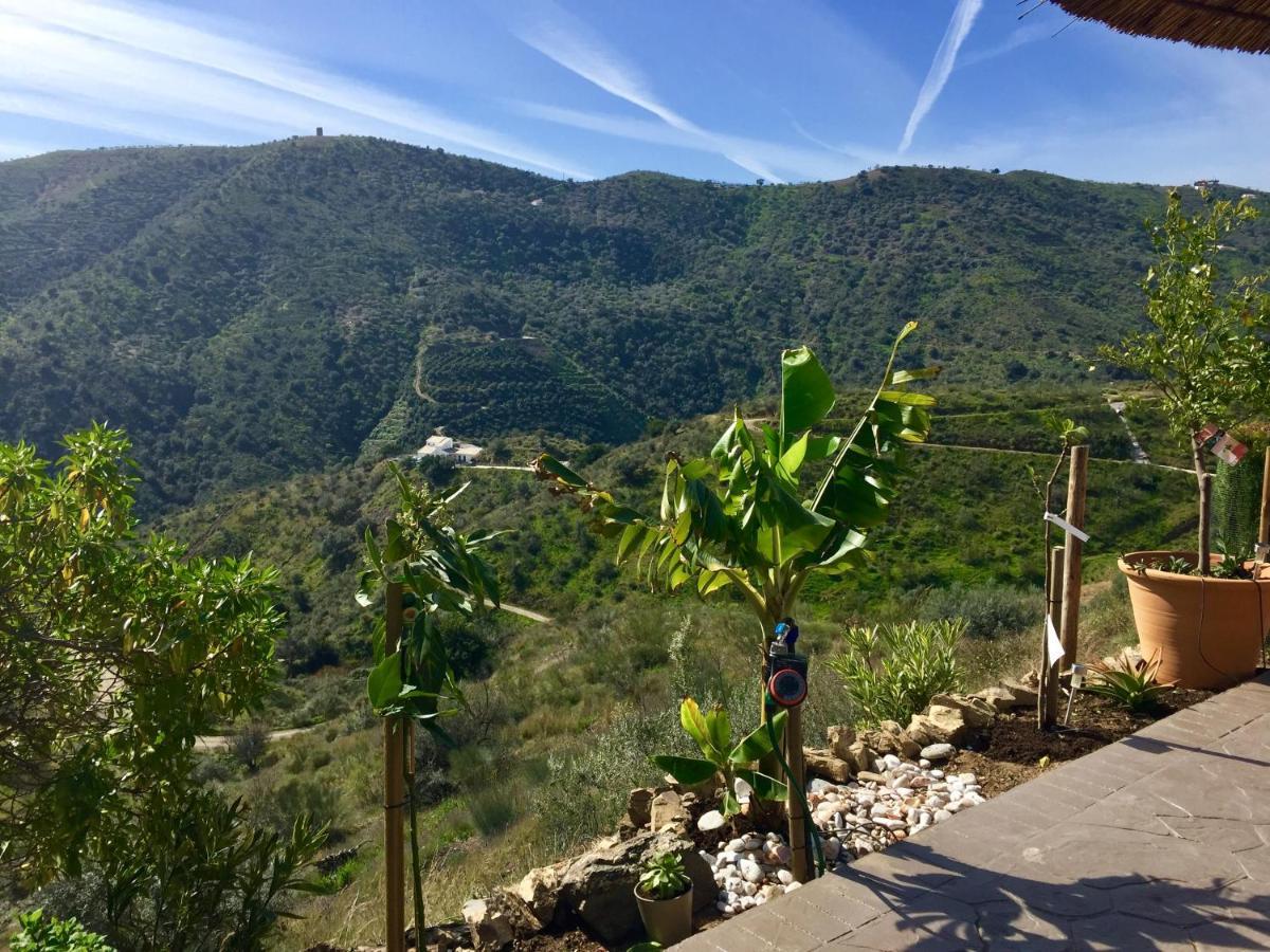Estudio con vistas a la piscina