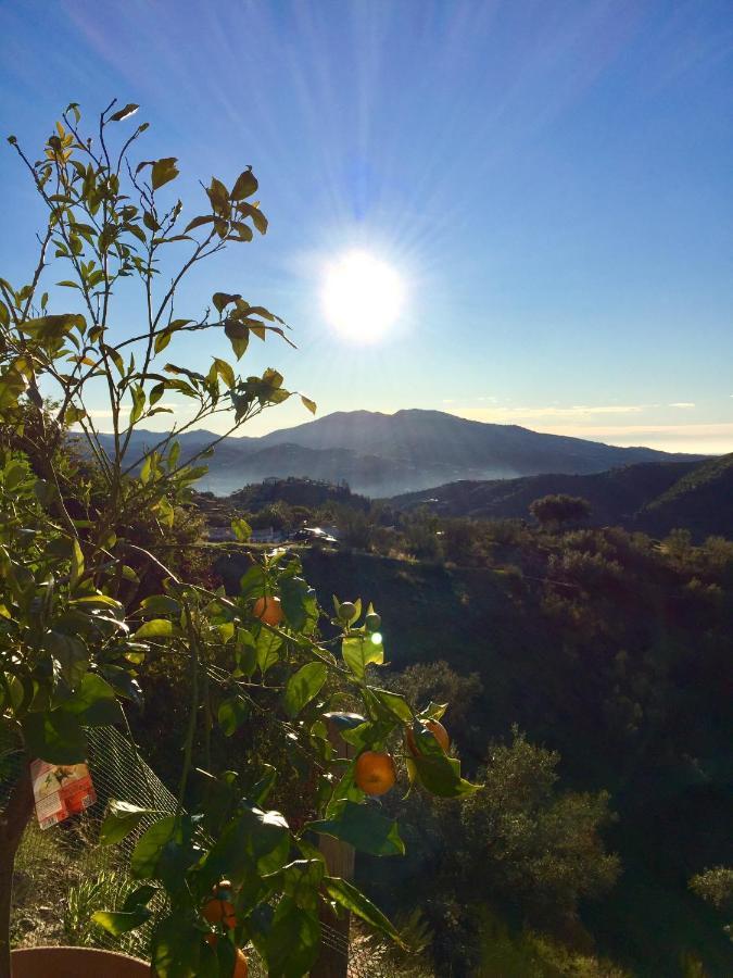 Estudio con vistas a las montañas