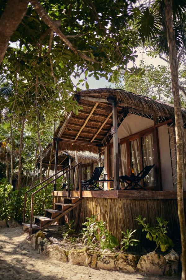 Hébergement Double Jungle