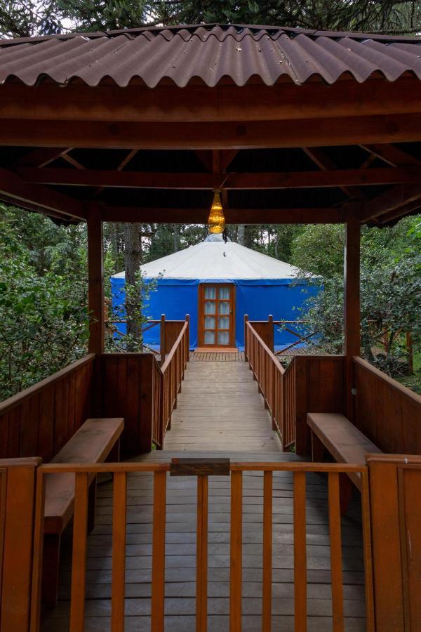 Suite Garden View