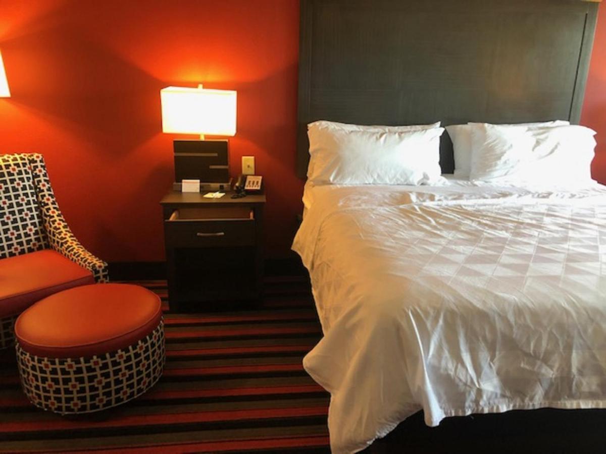 Standard King Suite