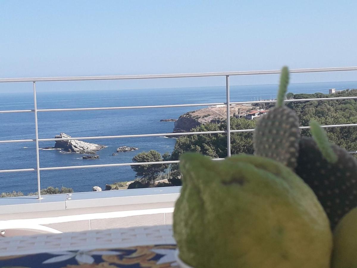 Deluxe Double Room Balcony