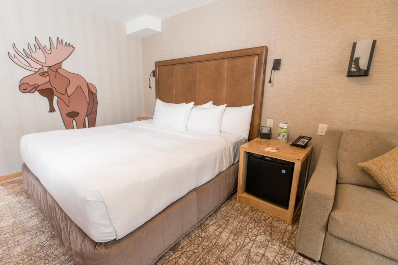 Superior Kamer met Kingsize Bed