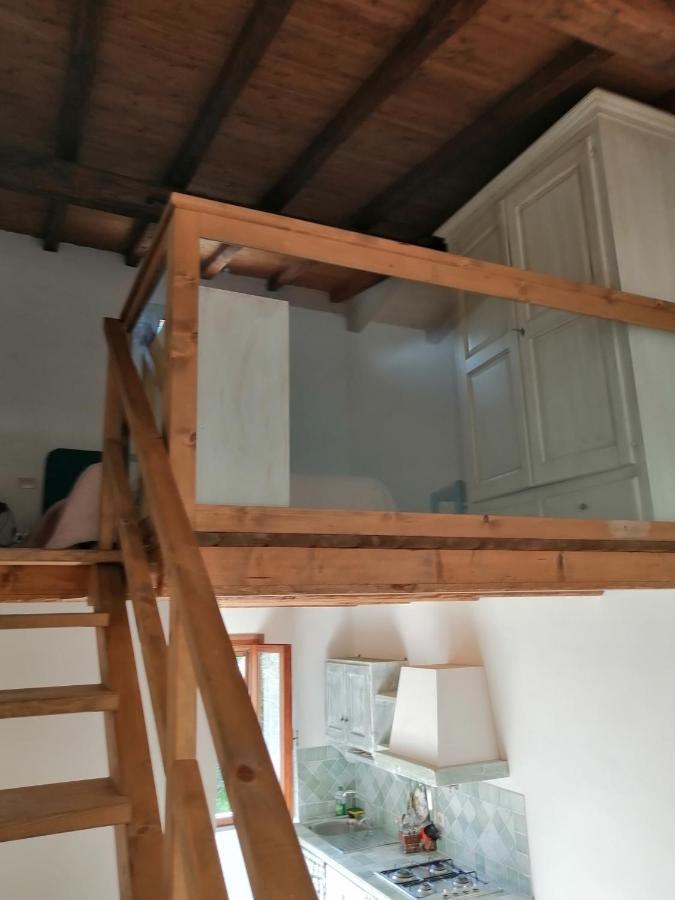 Duplex Studio