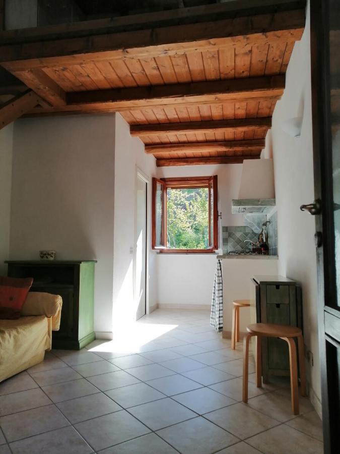 Duplex Studio