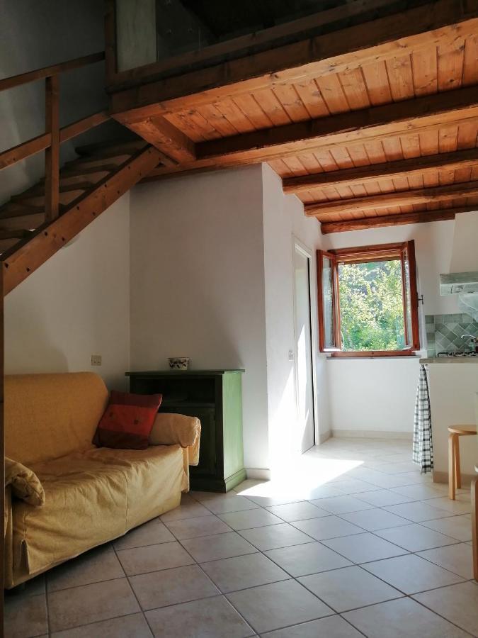 Duplex Studio