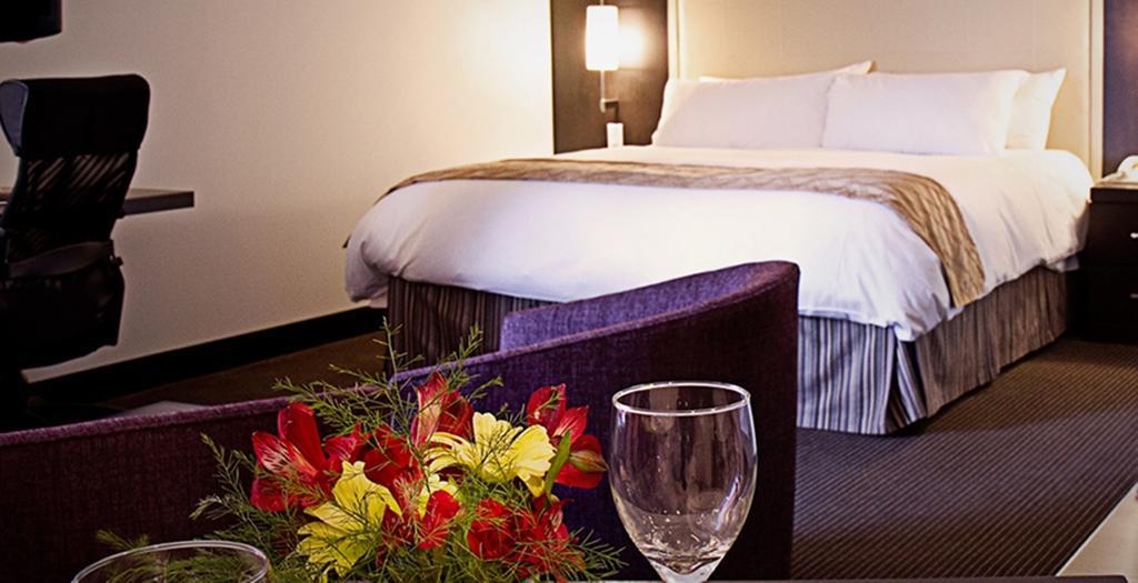 Queen Suite with Kitchenette