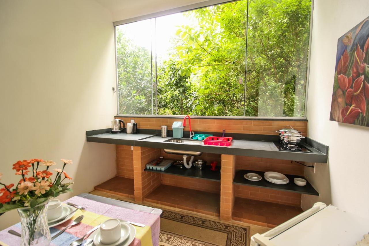 Studio Garden View