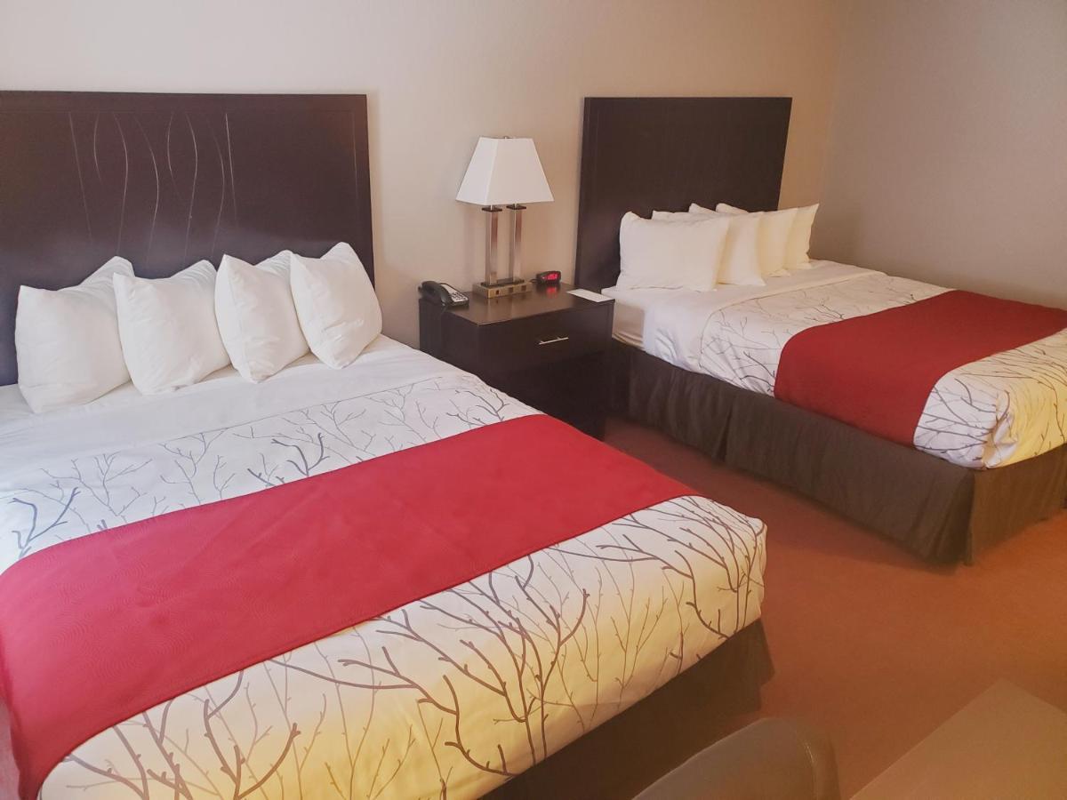 Standard Queen Room with 2 Queen Beds,1100996139:JPEG