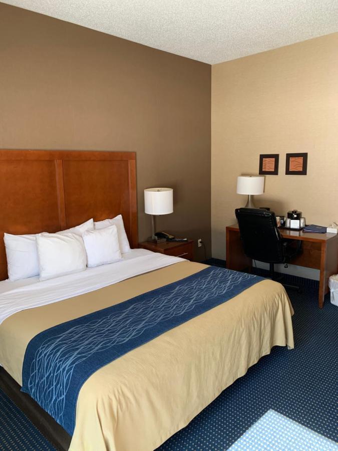 King Room with Roll-In Shower - Disability Access