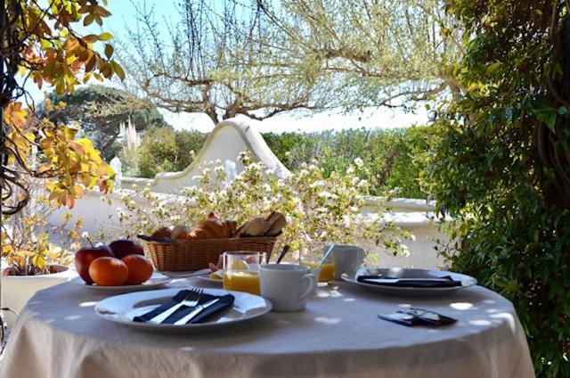 Suite Terrace