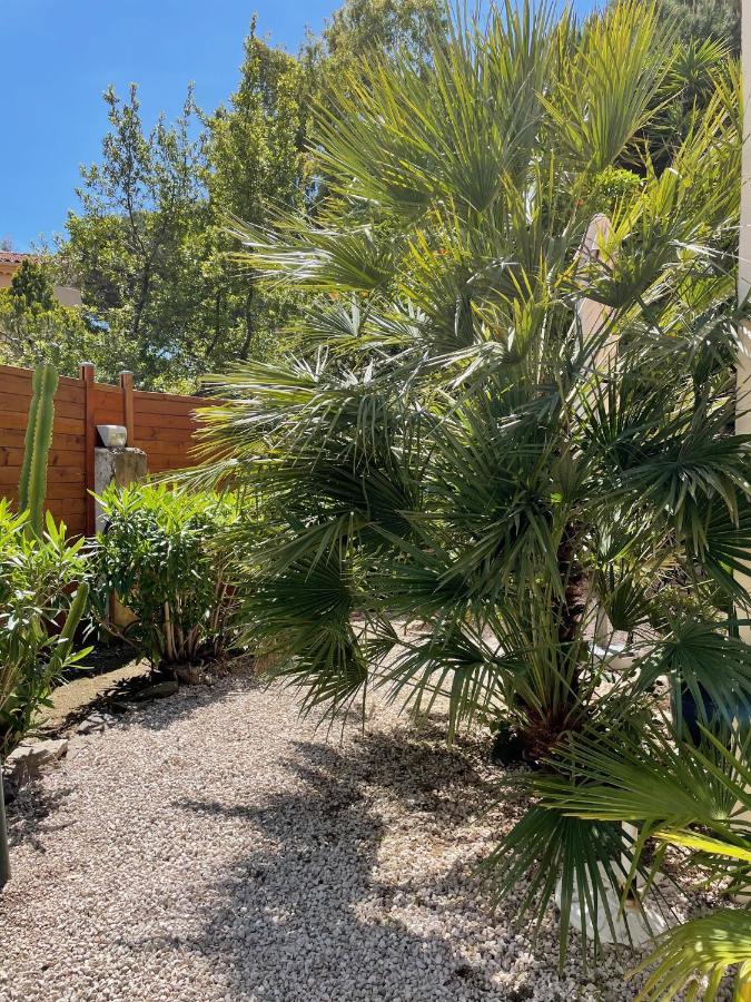 Single Room Garden View