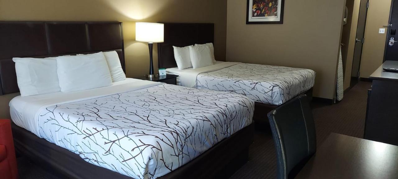 Queen Room Two Queen Beds
