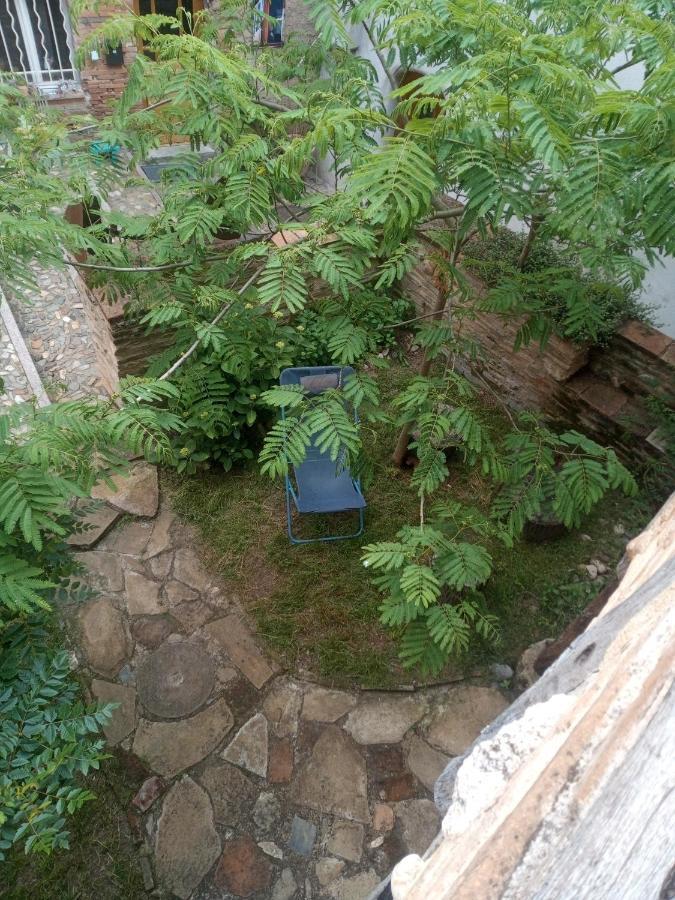 King Room Garden View