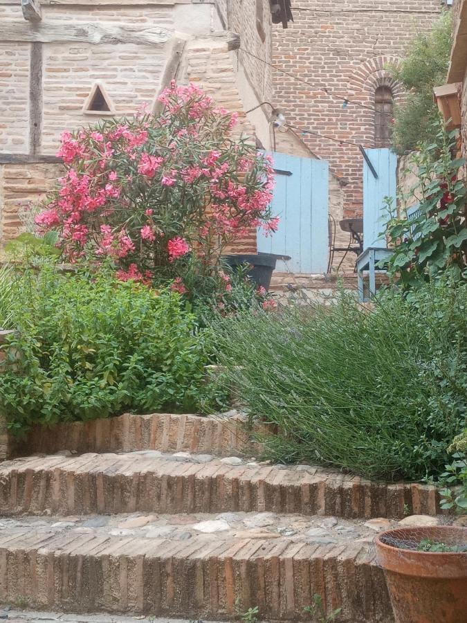 King Room Garden View