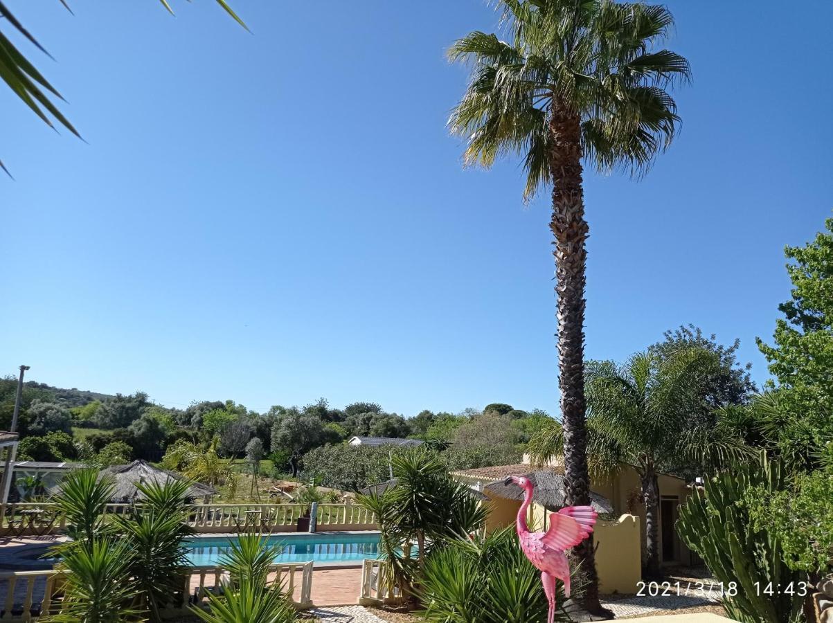 Suite Terrace,1191894514:JPEG