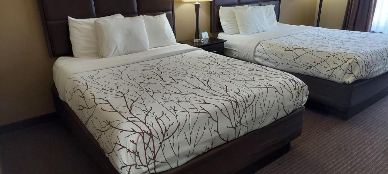 Queen Room Two Queen Beds