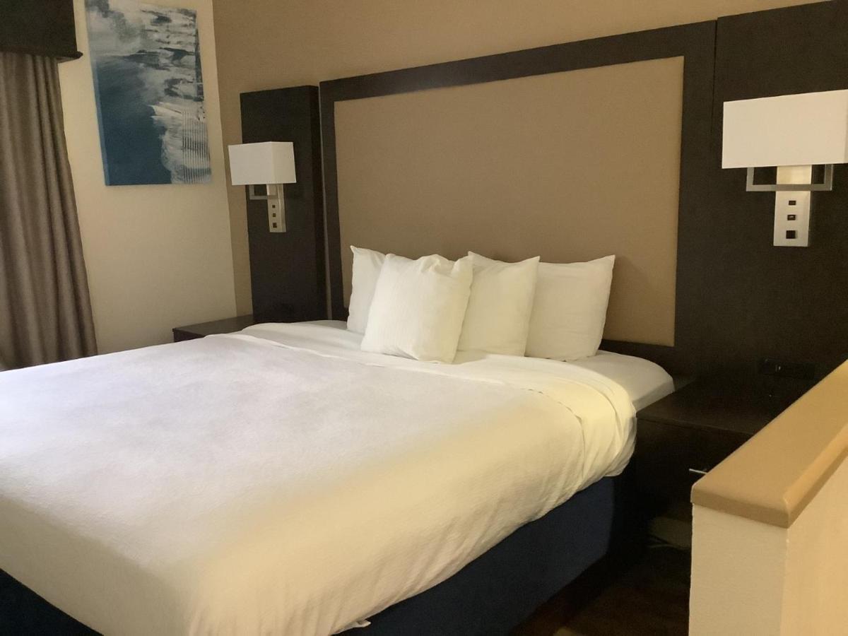 King Suite Sofa Bed Wet Bar Non-Smoking