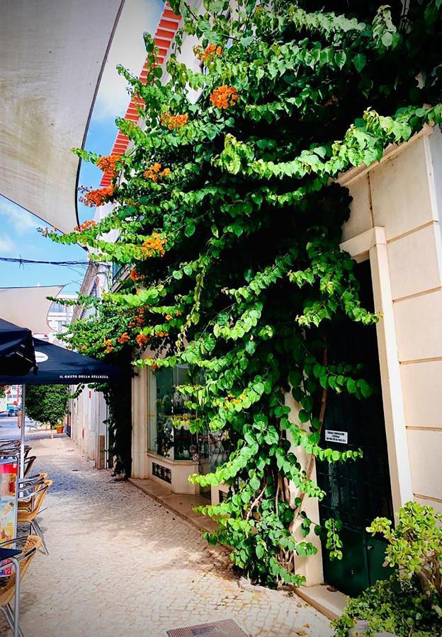 Deluxe Double or Twin Room Garden View