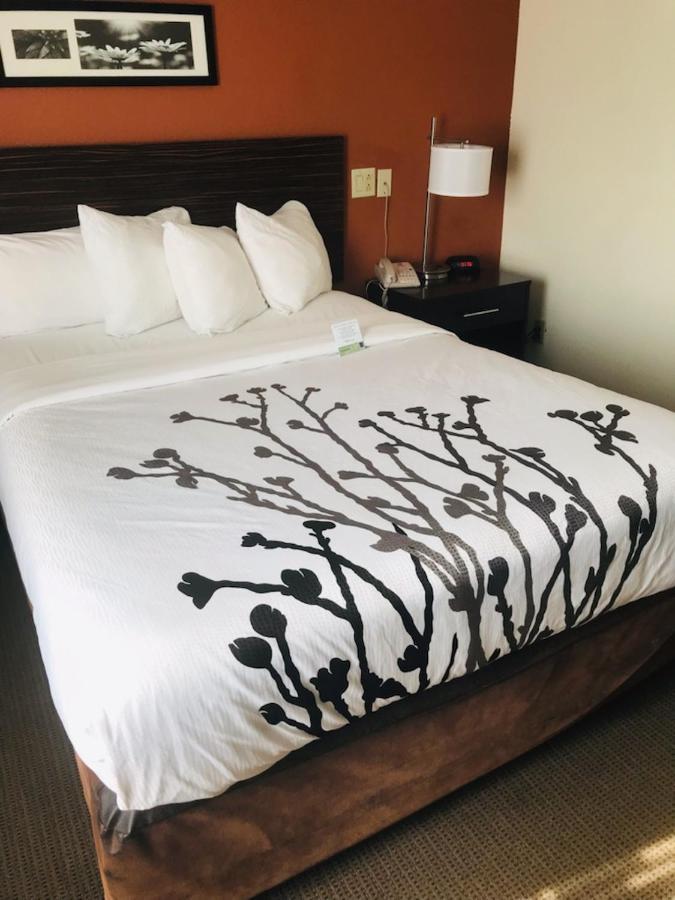 Queen Room - Accessible/Nonsmoking