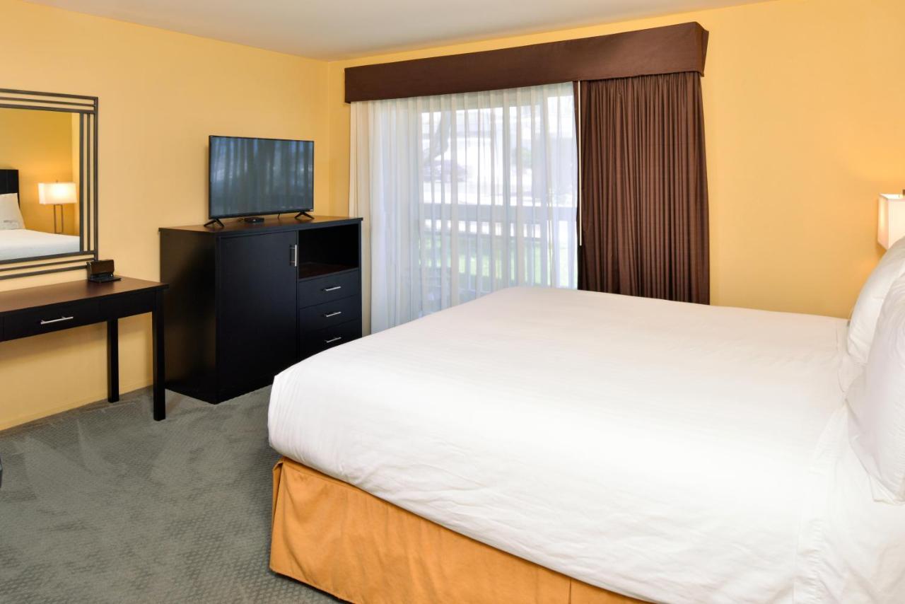 King Room Roll Shower Disability Access